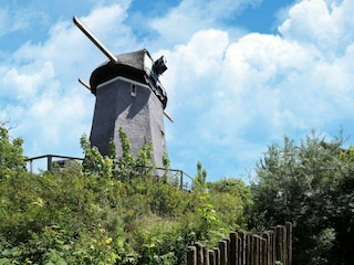 Parc de vacances Egmond aan den Hoef Environnement 28