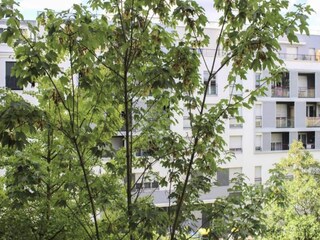 Appartement Paris  25