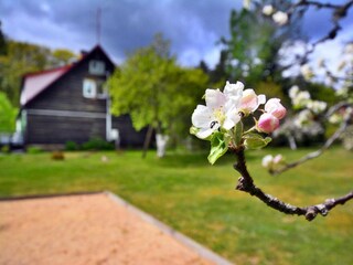 Ferienpark Polanow Außenaufnahme 10