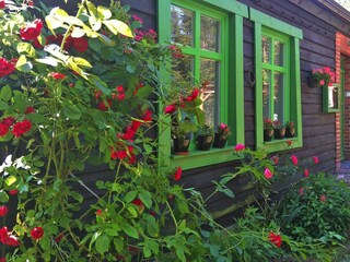 Ferienpark Polanow Außenaufnahme 6