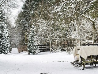 Ferienpark Polanow Außenaufnahme 7