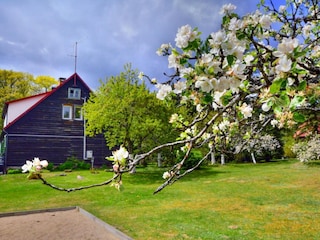Holiday park Polanow Outdoor Recording 16