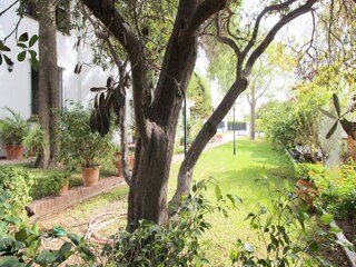 Apartment Chilches  21