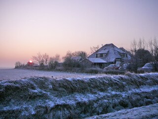 Appartamento per vacanze Oosterend Registrazione all'aperto 6