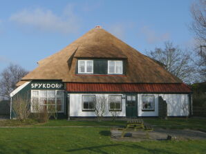 Ferienwohnung Gezellig vakantieappartement op Texel, ruim appartement