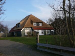 Cozy holiday apartment on Texel, large apartment - Oosterend - image1