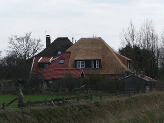 Appartamento per vacanze Oosterend Registrazione all'aperto 8