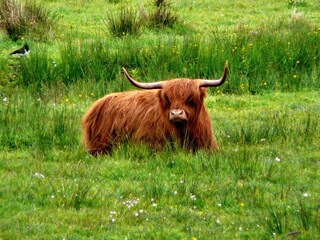 Appartamento per vacanze Oosterend Ambiente 19