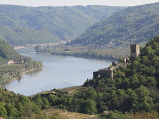 Appartamento per vacanze Spitz Ambiente 10