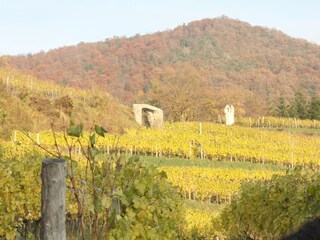 Appartamento per vacanze Spitz  11