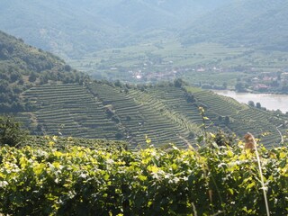 Appartamento per vacanze Spitz  12