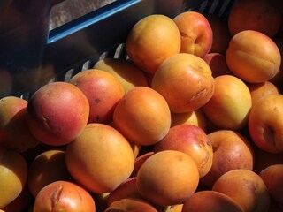 Appartamento per vacanze Spitz Ambiente 15