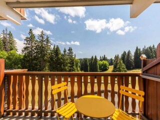 Apartment Le Revard  23