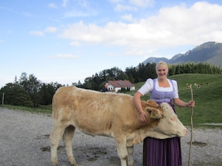 Auf unserer Alm