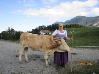 auf der Alm