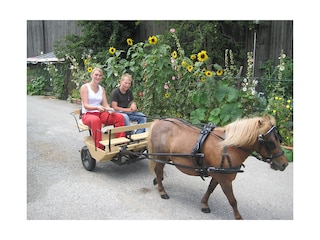 Eine kleine Kutschfahrt