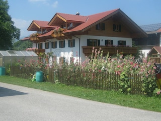 das Ferienhaus