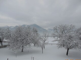 Ausblick der Fewo im Winter