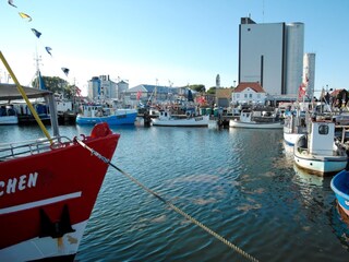 Holiday apartment Burgtiefe Environment 20