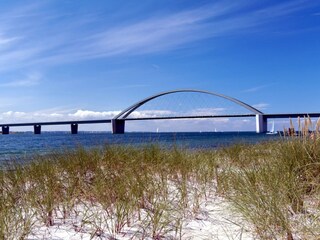 Holiday apartment Burgtiefe Environment 21