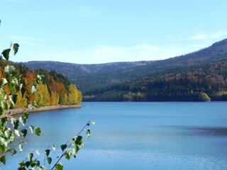 Appartement de vacances Kirchdorf im Wald Environnement 16