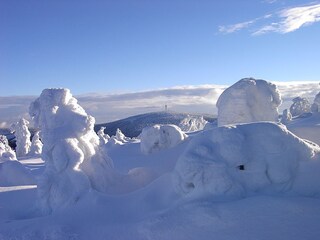 Appartamento per vacanze Oberwiesenthal Ambiente 19