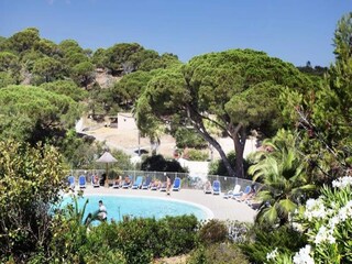 Appartement Saint-Aygulf  5