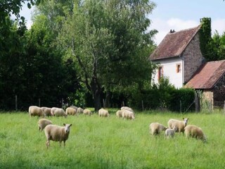 Apartamento Jumilhac-le-Grand  13