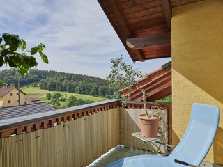 Holiday apartment Wegscheid Environment 3