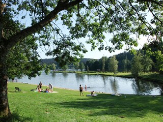 Holiday apartment Wegscheid  35
