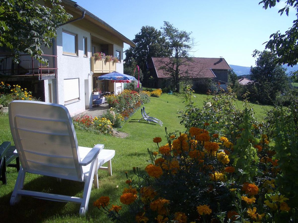 Blick über Tagetismeer auf die Terrasse u Liegewiese