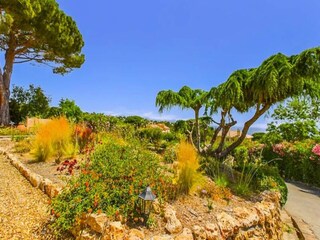 Appartement Fréjus  20