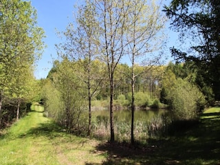 Apartment Jumilhac-le-Grand  12