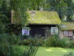 Ferienhaus - Wildungshof - Walsrode - image1