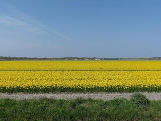 Appartamento Julianadorp  2