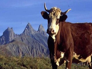 Apartment Saint Sorlin d Arves Environment 34