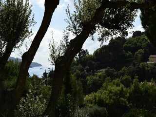 Apartamento La Croix-Valmer  2