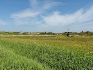 Ferienhaus Callantsoog  5