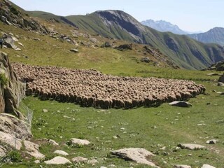 Appartement Saint Sorlin d Arves Environnement 26