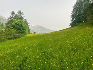 Appartamento Uvernet-Fours Ambiente 33