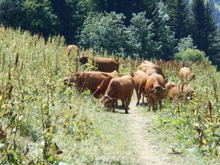 Casa per le vacanze Valmorel Ambiente 22