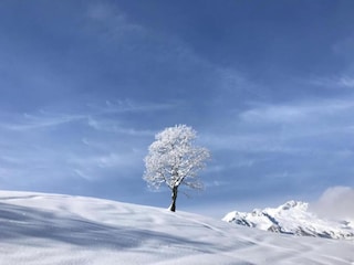 Holiday house Valmorel Environment 15