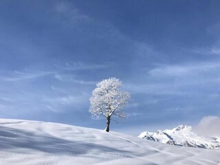 Vakantiehuis Valmorel Omgeving 18
