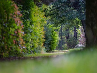 Apartment Valmorel Umgebung 18