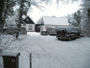 Holiday house 't Rûge Landje - Den Burg - image1