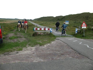 Vakantiehuis Den Burg Omgeving 18
