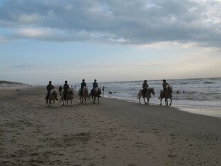 Casa per le vacanze Den Burg Ambiente 17