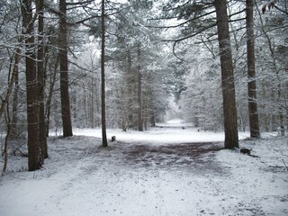Casa per le vacanze Den Burg Ambiente 19
