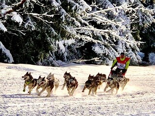 Apartment Valmorel Environment 35