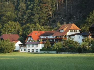 Ferienwohnung Wellness Pension am Rain